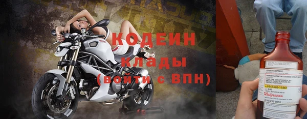 apvp Алзамай